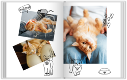 Fotokniha s pevnou väzbou - originálny darček! - Cat