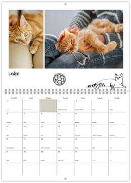 Nástenný plánovací fotokalendar - Cat