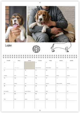 Nástenný plánovací fotokalendar - Dog 